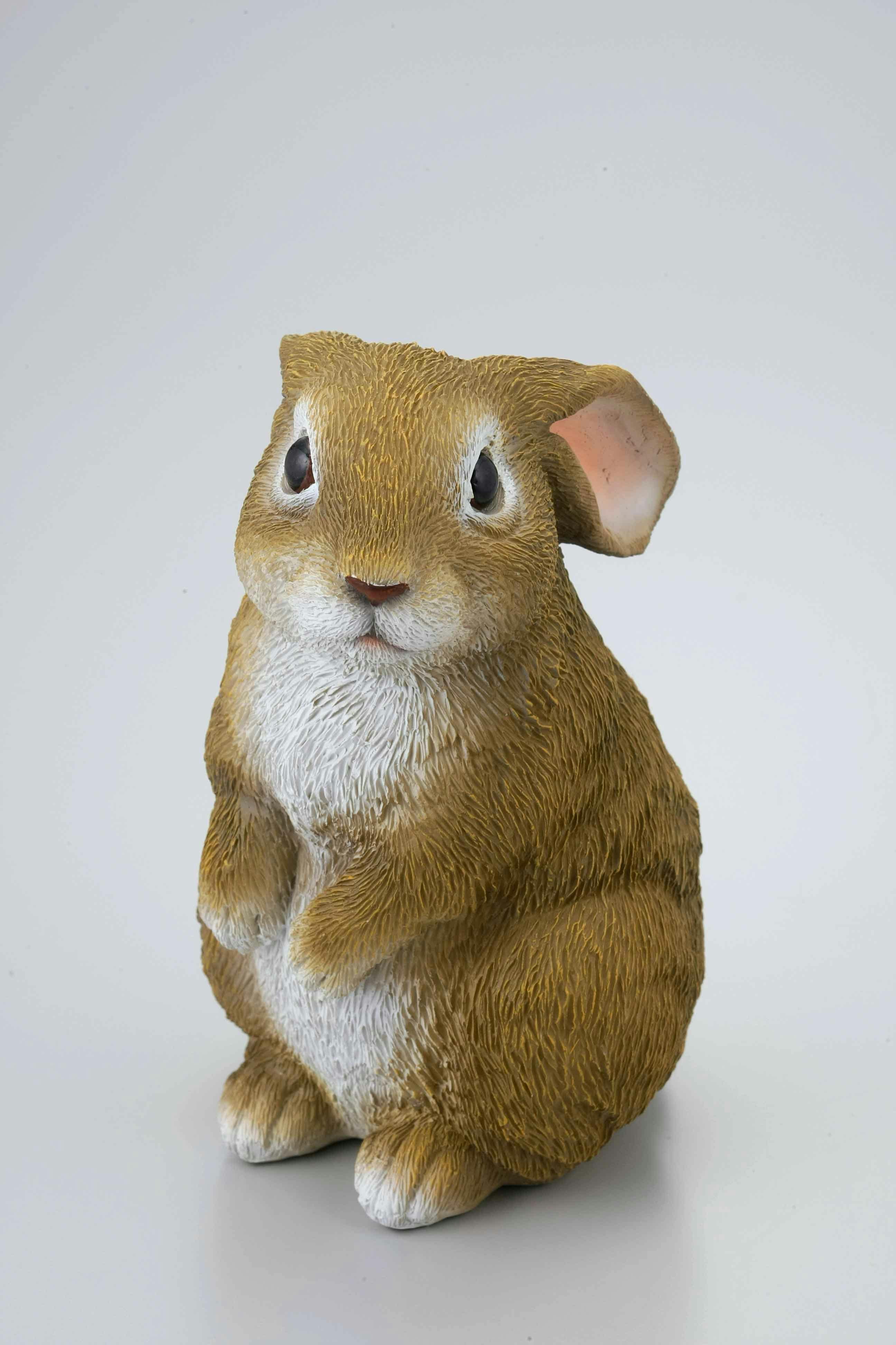 Z[uEC_Xg[ ~j |  IuWF SV-5868 K[ful`