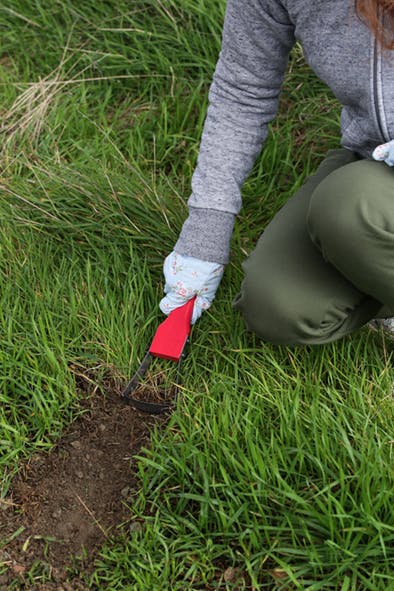 セーブ・インダストリー ラク～に草取り ピンク 雑草取り 雑草対策
