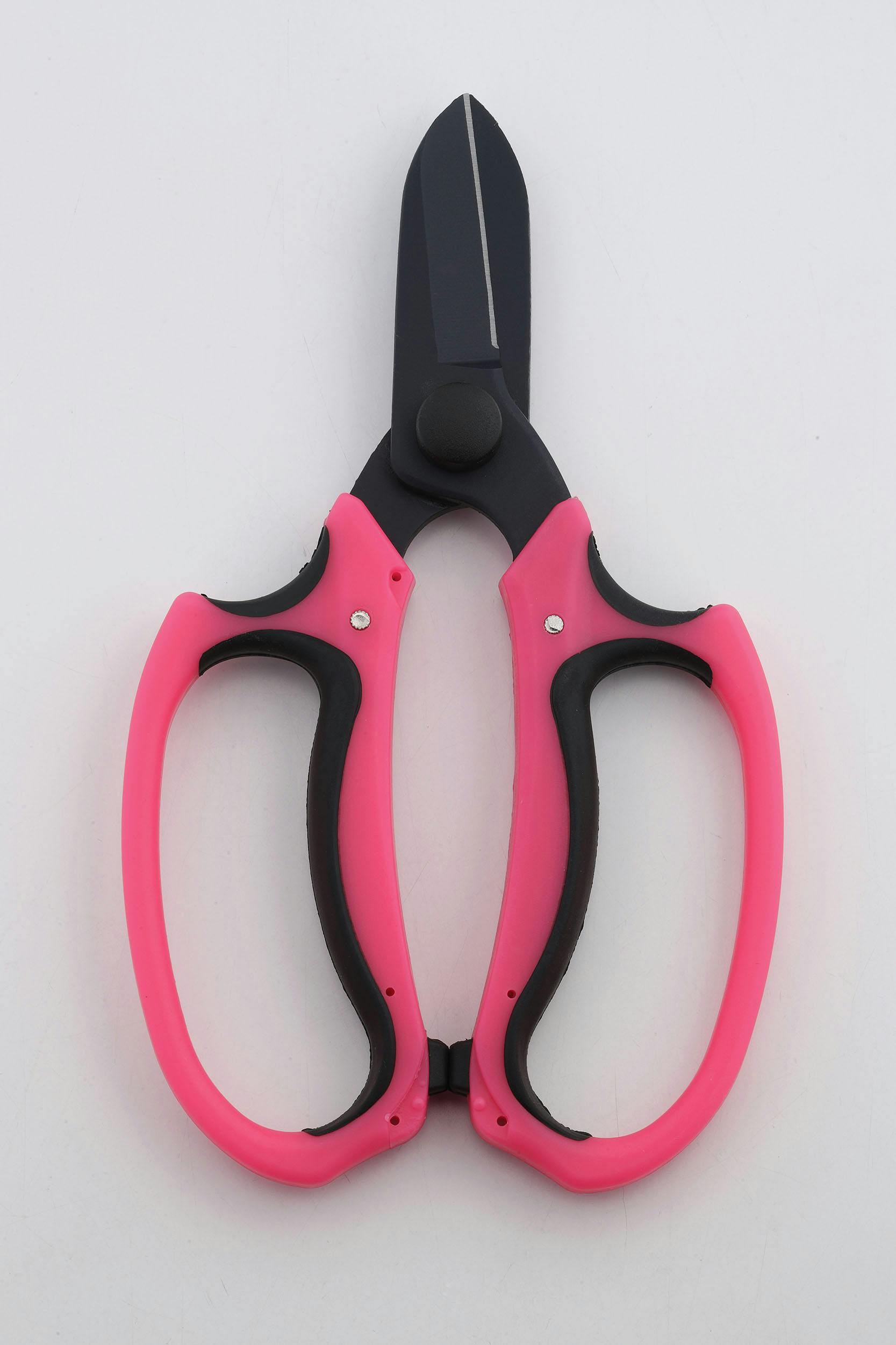 Z[uEC_Xg[ lwgĉԐ؂͂ |  v SV-7459 ΂݁E΂݁E