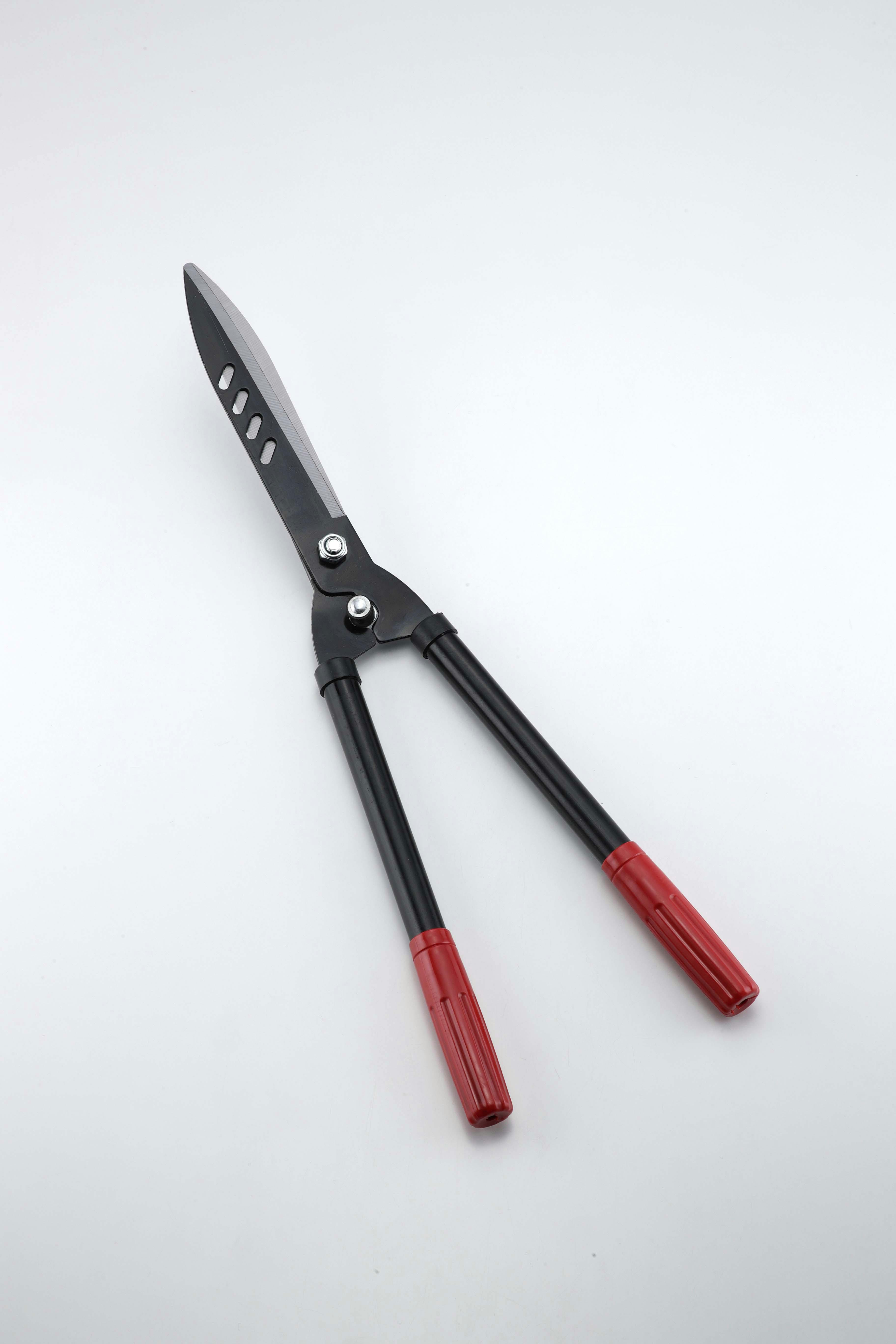 Z[uEC_Xg[ nT~ ubN |   SV-7787 ΂݁E΂݁E