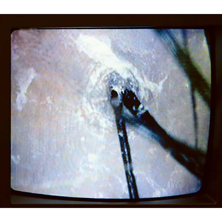 セーブ・インダストリー シリコンシャンプー&マッサージブラシ 丸型 頭皮マッサージ スカルプケア マッサージブラシ SV-8786【別送品】