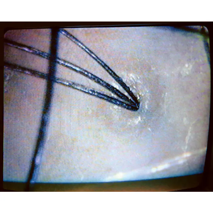 セーブ・インダストリー シリコンシャンプー&マッサージブラシ 丸型 頭皮マッサージ スカルプケア マッサージブラシ SV-8786【別送品】