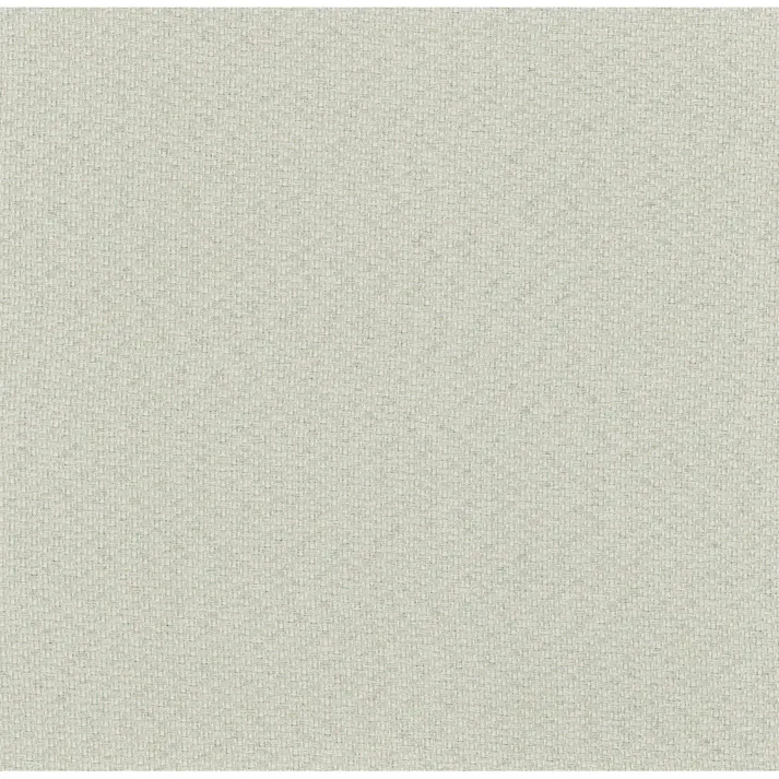 Eco de Happiness 【2級遮光/テキ温】 (ライトグレー) 100cm×120cm 幅50×2枚組 ドレープカーテン 防炎 遮光 ウォッシャブル 洗える 断熱 シンプル 無地 光沢 形態安定加工 KZE9420-100120【別送品】