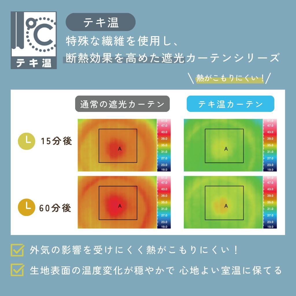 Eco de Happiness 【2級遮光/テキ温】 (ライトグレー) 200cm×198cm 幅