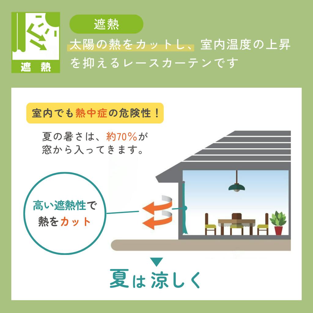 Eco de Happiness レースカーテン (ライトグリーン) 300cm×218cm