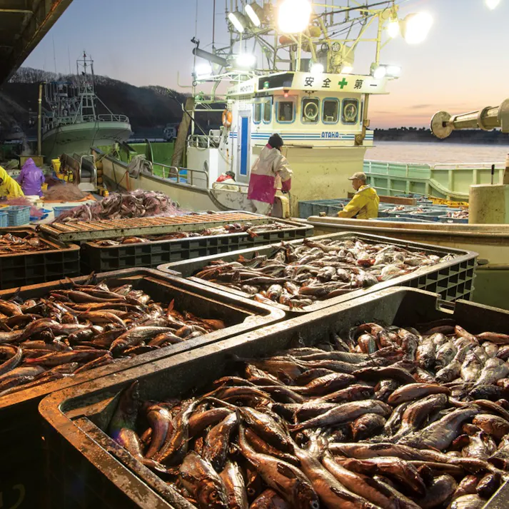 ギフトカタログ ダンチュウグルメ CD 結婚祝 出産内祝 御祝 内祝 御礼 御中元 御歳暮 2207621【別送品】