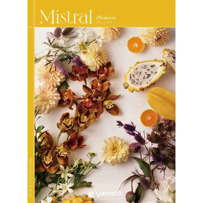 ギフトカタログ ミストラル プルメリア 結婚祝 出産祝 御祝 内祝 御礼 御中元 御歳暮 2503112【別送品】