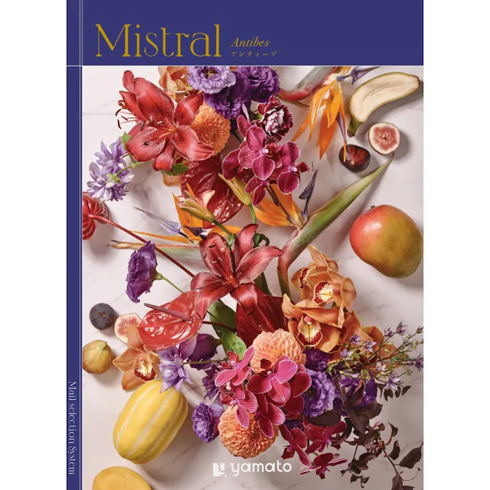 ギフトカタログ ミストラル アンティーブ 結婚祝 出産祝 御祝 内祝 御礼 御中元 御歳暮 2503131【別送品】