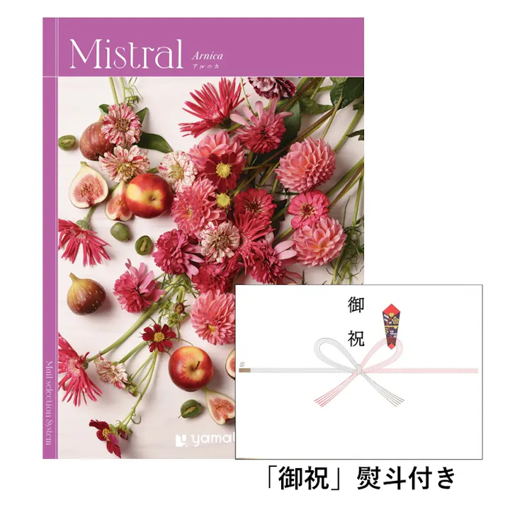 ギフトカタログ ミストラル アルニカ 「御祝」熨斗付き 結婚 出産 入学・入園 新築 快気 贈答 2503108-2 【別送品】
