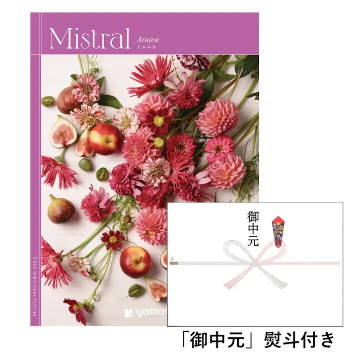ギフトカタログ ミストラル アルニカ「御中元」熨斗付き 得意先 上司 会社 親族 友人 2503108-5 【別送品】