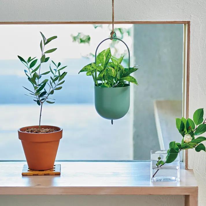 ギフトカタログ ミストラル レモンバーム「内祝(結び切り)」熨斗付き 結婚 快気 2503110-4【別送品】