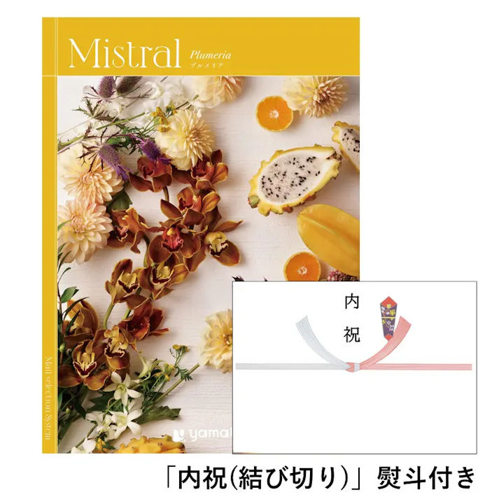ギフトカタログ ミストラル プルメリア「内祝(結び切り)」熨斗付き 結婚 快気 2503112-4 【別送品】