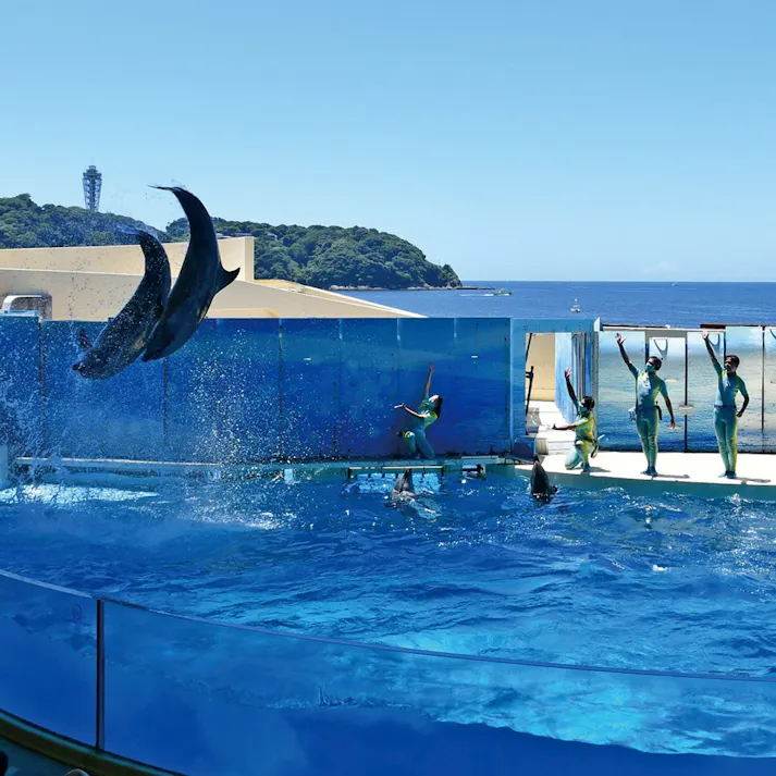 ギフトカタログ ミストラル プルメリア「御歳暮」熨斗付き 得意先 上司 会社 親族 友人 2503112-6【別送品】