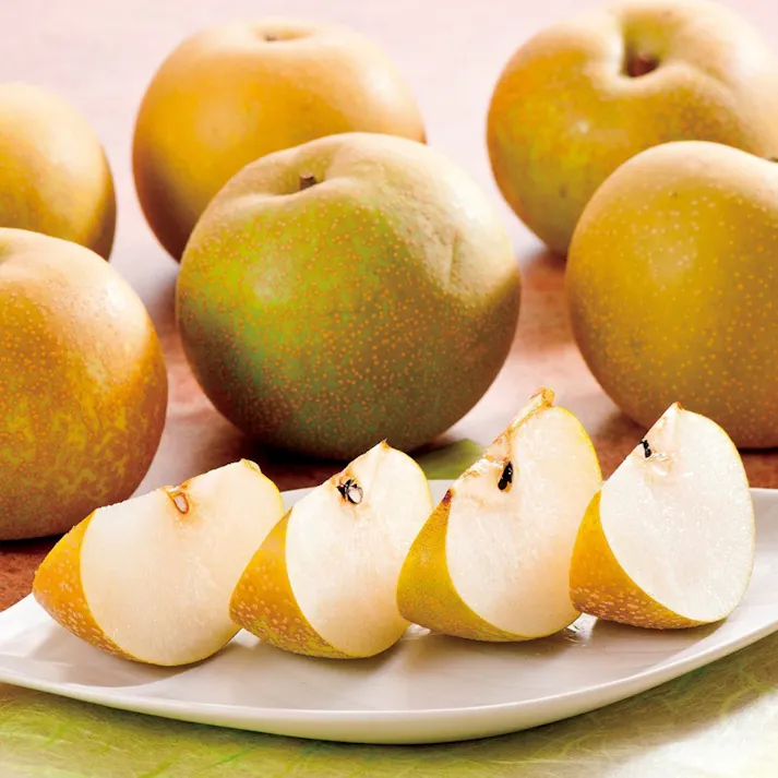 ギフトカタログ ベストグルメ アレジア「御祝」熨斗付き 結婚 出産 入学・入園 新築 快気 贈答 2508612-2【別送品】