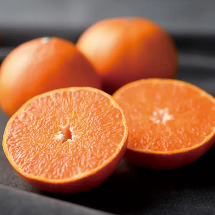 ギフトカタログ ベストグルメ セルヴァンテス「内祝(結び切り)」熨斗付き 結婚 快気 2508614-4【別送品】