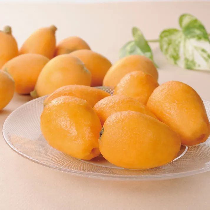 ギフトカタログ ベストグルメ ボーヴォー「内祝(蝶結び)」熨斗付き 出産 入学・入園 新築 2508616-3【別送品】