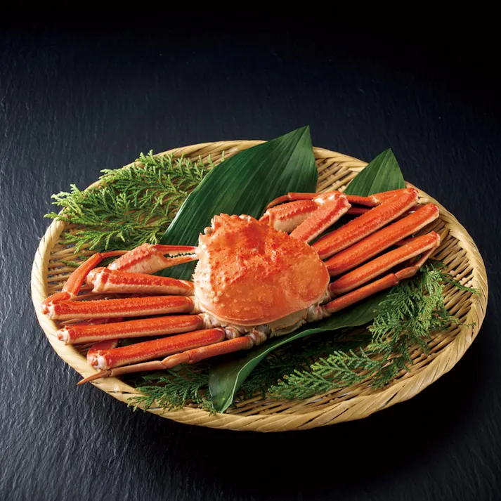 ギフトカタログ 沙羅 天蓋花(てんがいばな)「志」熨斗付き 仏事 香典返し 満中陰志 2590131-7【別送品】