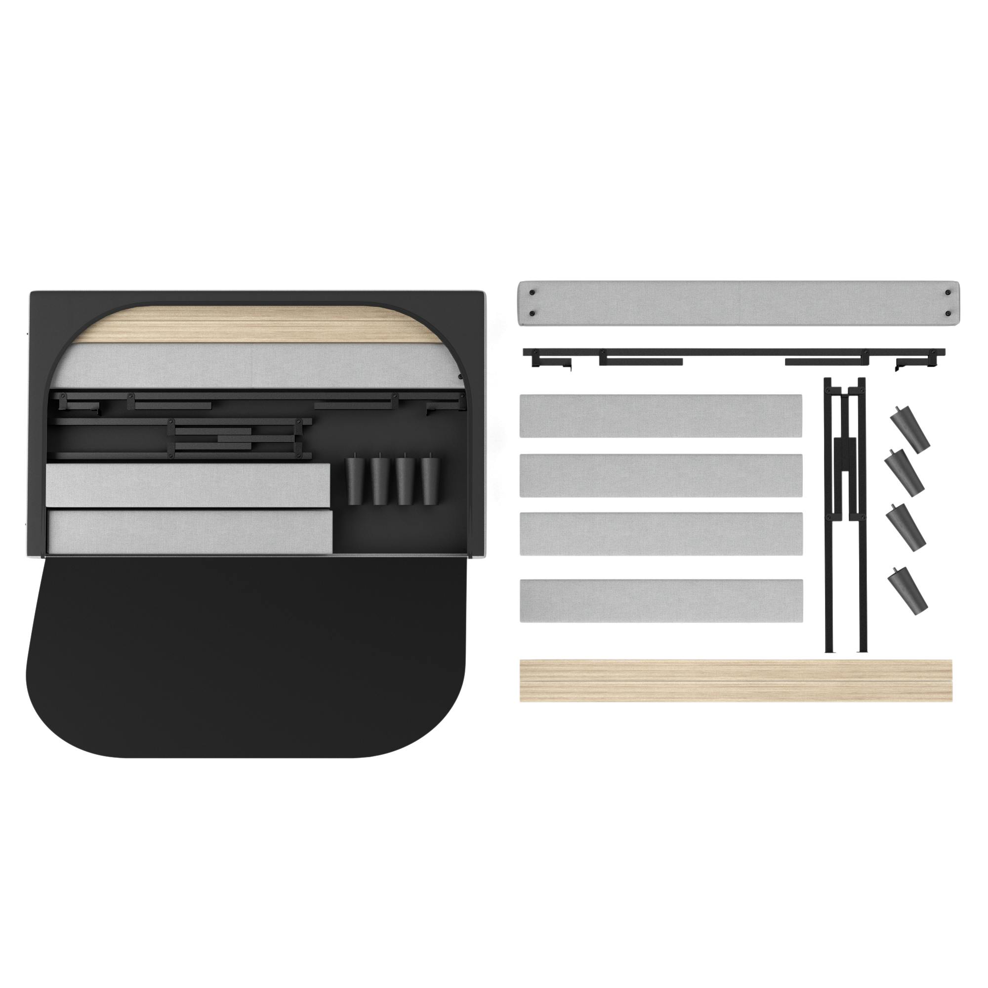 プヤ ベヌスタ A 5ヘッド プヤ ベヌスタ A 5ヘッド Puya venustaの育て方・栽培方法