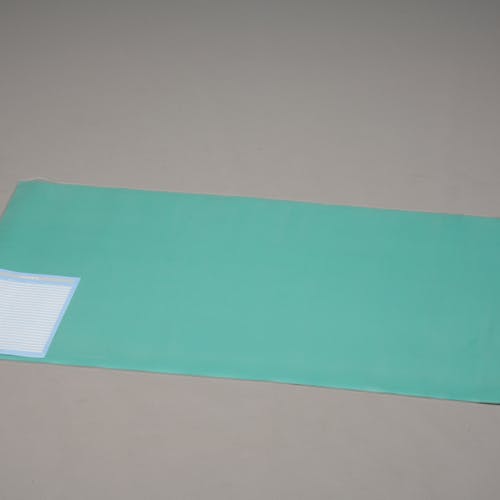 アイリスオーヤマ デスクマット DMT-1369PN クリア/グリーン 傷防止 キズ防止 机 オフィス用品 4905009566211【別送品】