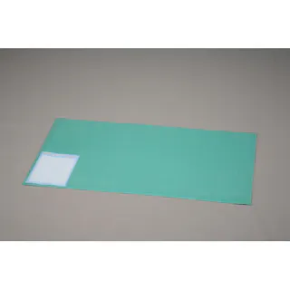 アイリスオーヤマ デスクマット DMT-9969PN クリア/グリーン 傷防止 キズ防止 机 オフィス用品 4905009566235【別送品】