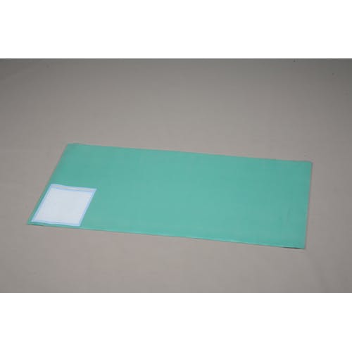 アイリスオーヤマ デスクマット DMT-9959PN クリア/グリーン 傷防止 キズ防止 机 オフィス用品 4905009566242【別送品】