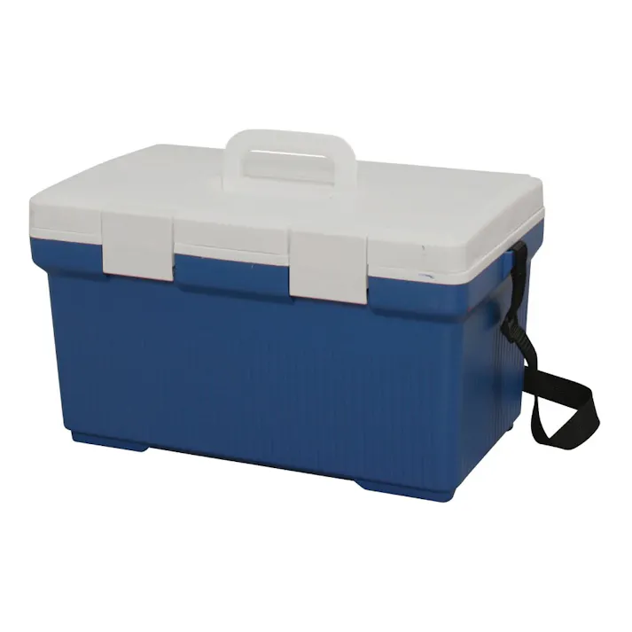 アイリスオーヤマ クーラーボックス CL-20 ブルー/ホワイト キャンプ 釣り クーラーボックス 4905009772520【別送品】