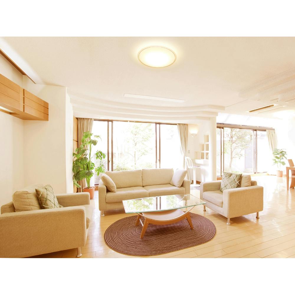 アイリスオーヤマ LEDシーリングライト クリアフレーム 14畳調色