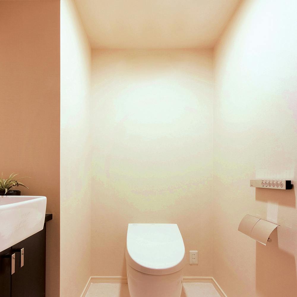 アイリスオーヤマ LED小型シーリング 薄形 600lm 電球色 SCL6L