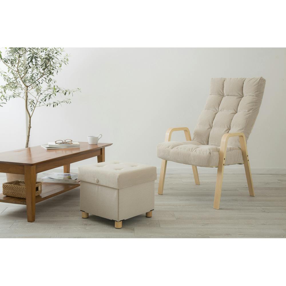 アイリスオーヤマ 脚付き収納スツール ASST-38 ベージュ チェア 椅子