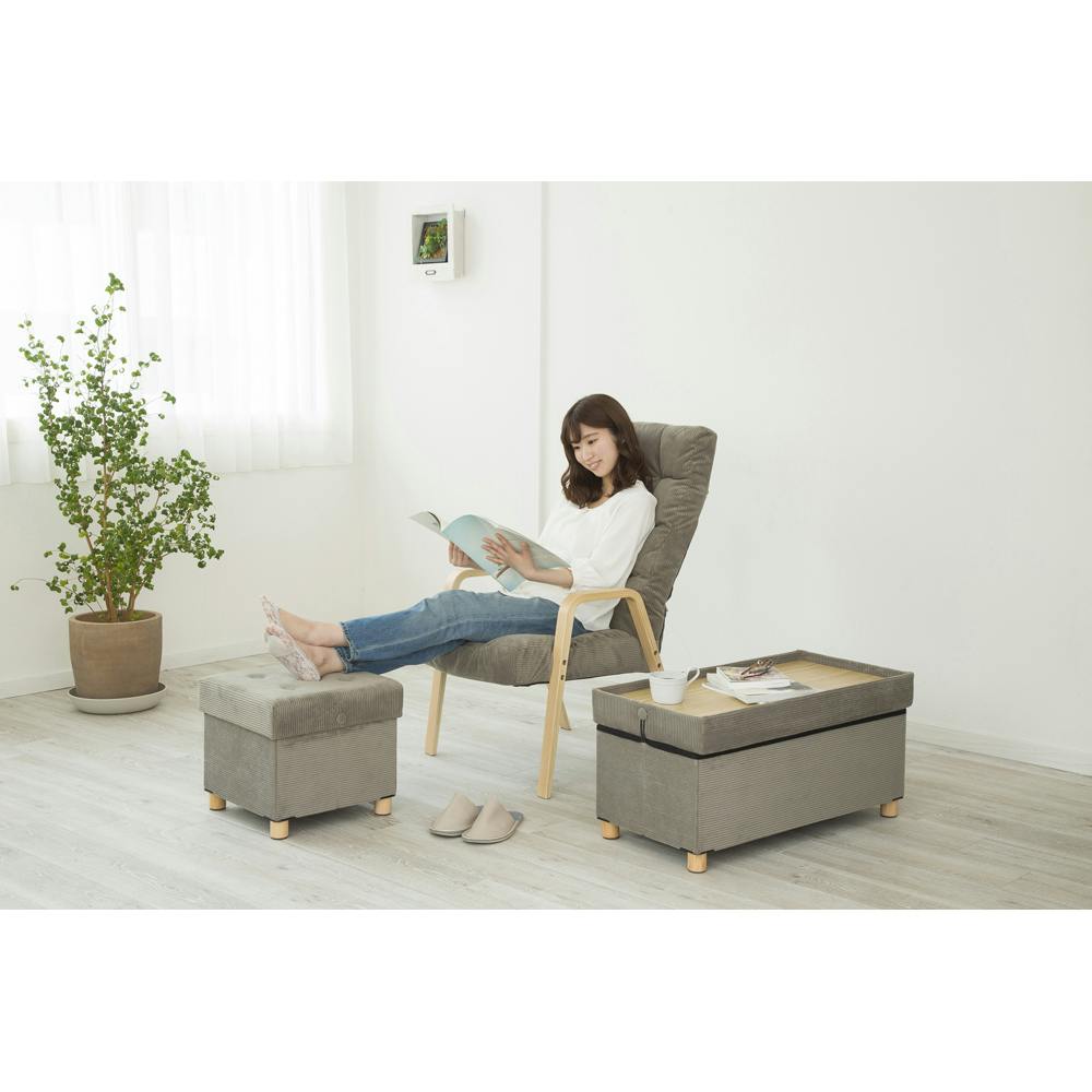 アイリスオーヤマ 脚付き収納スツール ワイド ASSTW-76 グレー