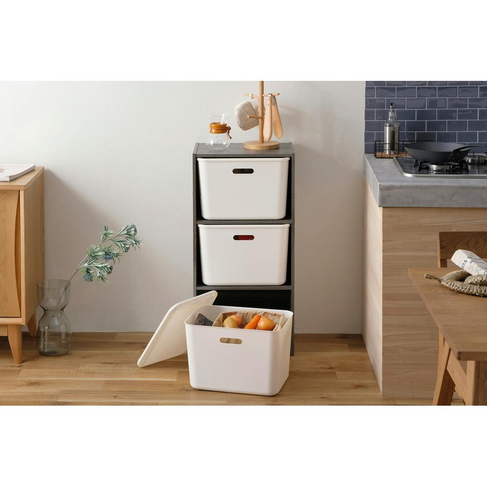 アイリスオーヤマ CBボックス CX-3 アッシュグレー 収納 整理整頓 CB