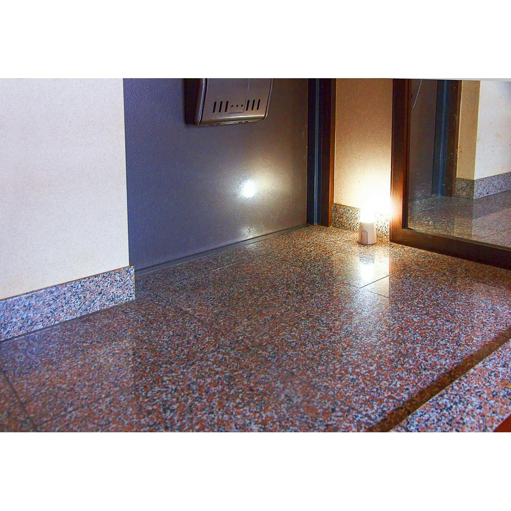 アイリスオーヤマ 乾電池式LEDセンサーライト スタンドタイプ