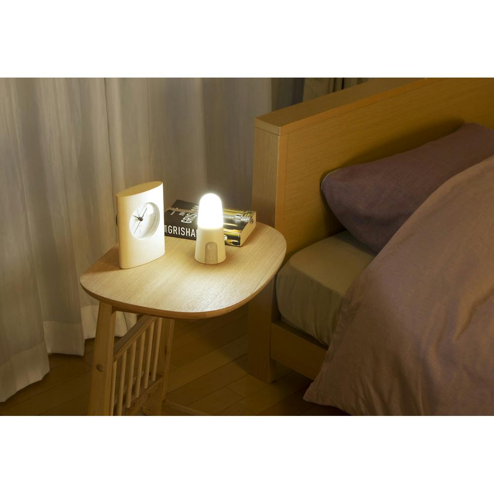 アイリスオーヤマ 乾電池式LEDセンサーライト スタンドタイプ 電球色