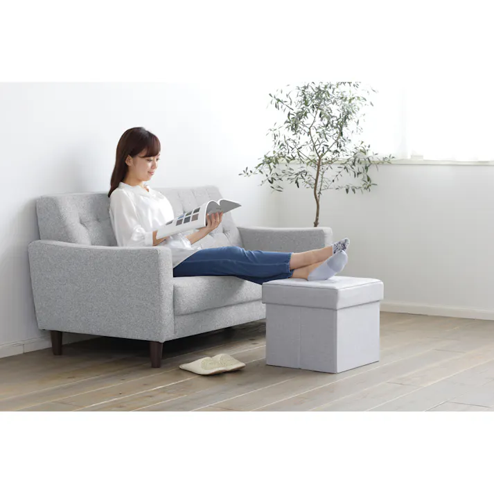 アイリスオーヤマ 折りたたみ収納スツール レギュラー SSTR-38 ライトグレー チェア 椅子 イス 座椅子・クッション 4967576453912【別送品】