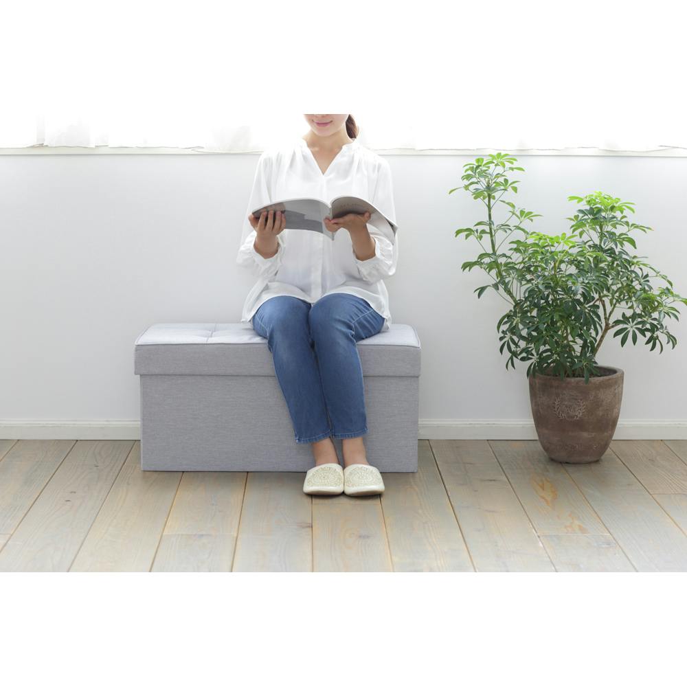 アイリスオーヤマ 折りたたみ収納スツール ワイド SSTR-76