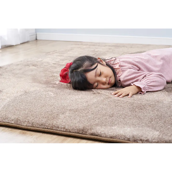 アイリスオーヤマ ラ・クッションラグ ACRB-1824 ブラウン マット ラグ 敷物 4967576454452【別送品】