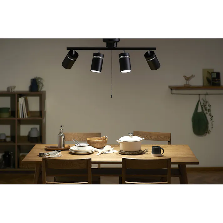 アイリスオーヤマ 4灯シーリングライト ストレート形 CE4LA-22SS-MB マットブラック リビング 寝室 4灯LEDシーリングライト 4967576600194【別送品】