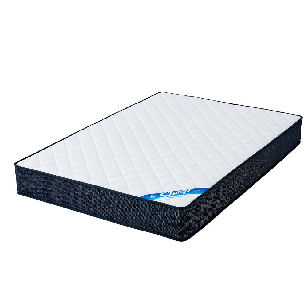 ACXI[} |PbgRC}bgX PMTS23H-D zCg Q  xbh }bgX 4967576615907 }bgX _uTCY