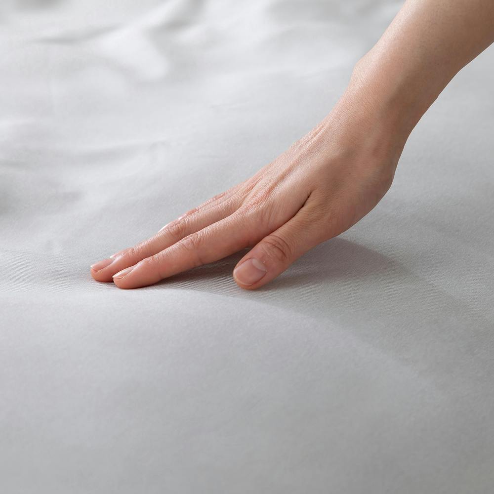 ACXI[} {bNXV[c BXS-TP-D CgO[ zc xbh Jo[ Q  4967576619912 {bNXV[cExbhV[c