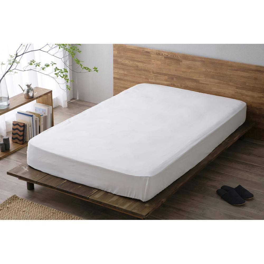 ACXI[} {bNXV[c BXS-TCA-SD zCg zc xbh Jo[ Q  4967576631662 {bNXV[cExbhV[c