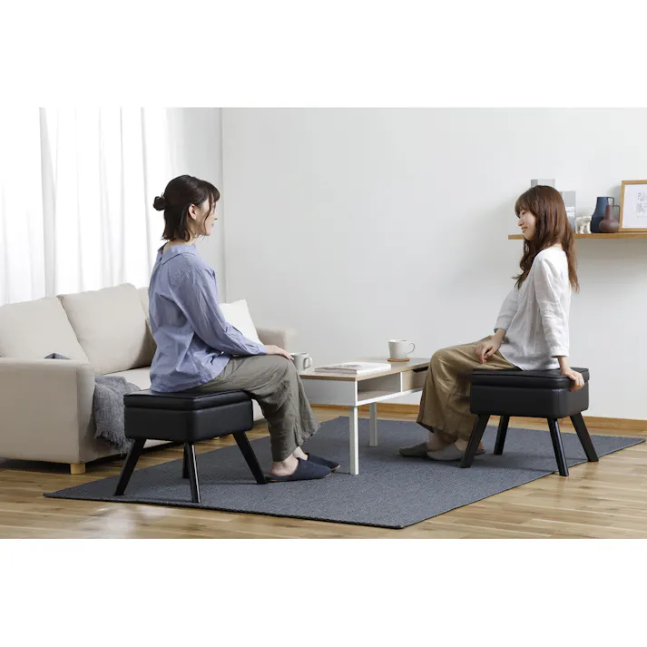 アイリスオーヤマ 収納付オットマン LEC-OT ブラック チェア 椅子 イス 座椅子・クッション 4967576637848【別送品】