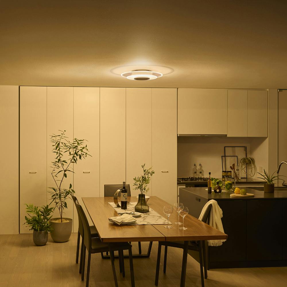 アイリスオーヤマ LEDシーリングライト パネルライト 8畳 CEA-A08DLPW