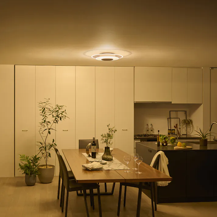 アイリスオーヤマ LEDシーリングライト パネルライト 12畳 CEA-A12DLPW リビング 寝室 LEDシーリングライト 4967576648103【別送品】