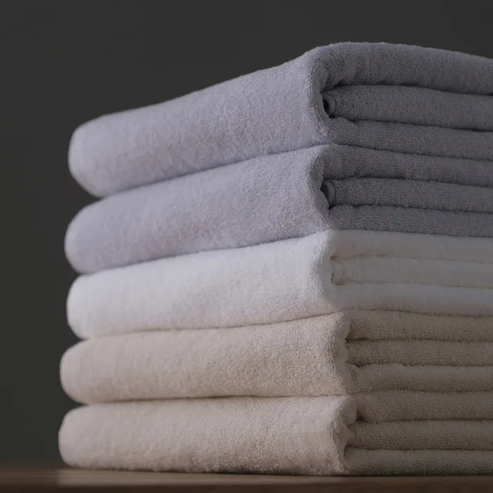 アイリスオーヤマ デイリーバスタオル4枚セット BT-D4 ホワイト タオル 体 風呂 4967576661881【別送品】