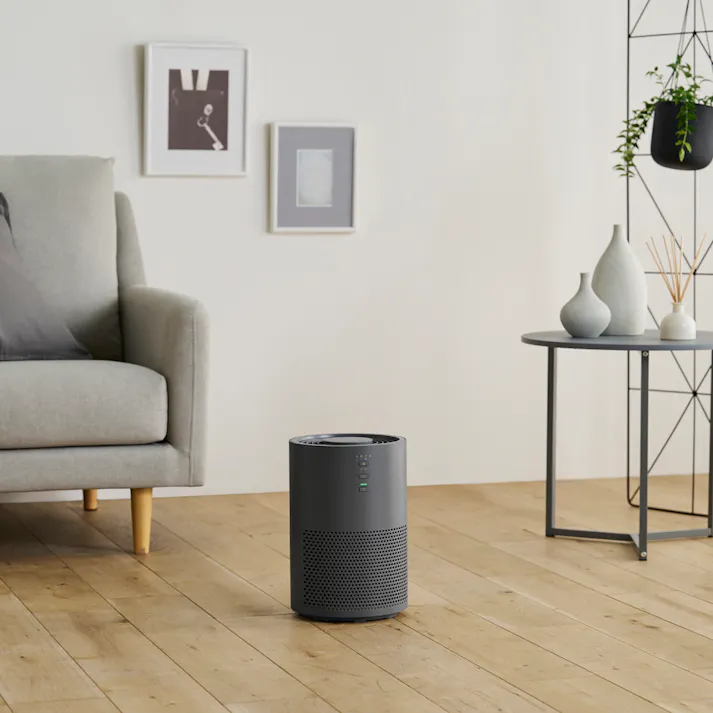 アイリスオーヤマ 空気清浄機 10畳 AAP-S20B-H グレー 空気 清潔 空気清浄機 4967576676717【別送品】