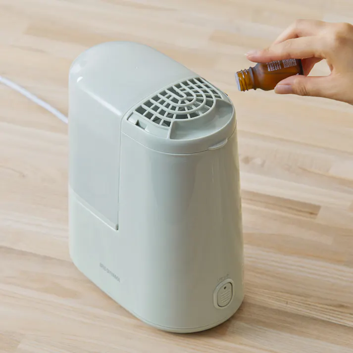 アイリスオーヤマ スチーム式加湿器 120ml AHM-H12B-G フォググリーン 喉 声 乾燥 加湿器 4967576679176【別送品】