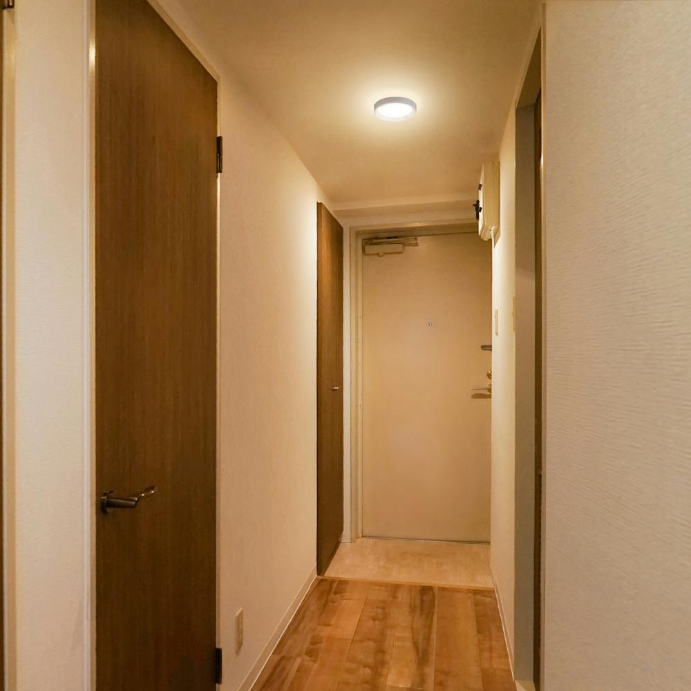 SALE☆ アイリス フローライト High Quality SALE☆ アイリス フローライト High Quality SALE☆ アイリス フロー