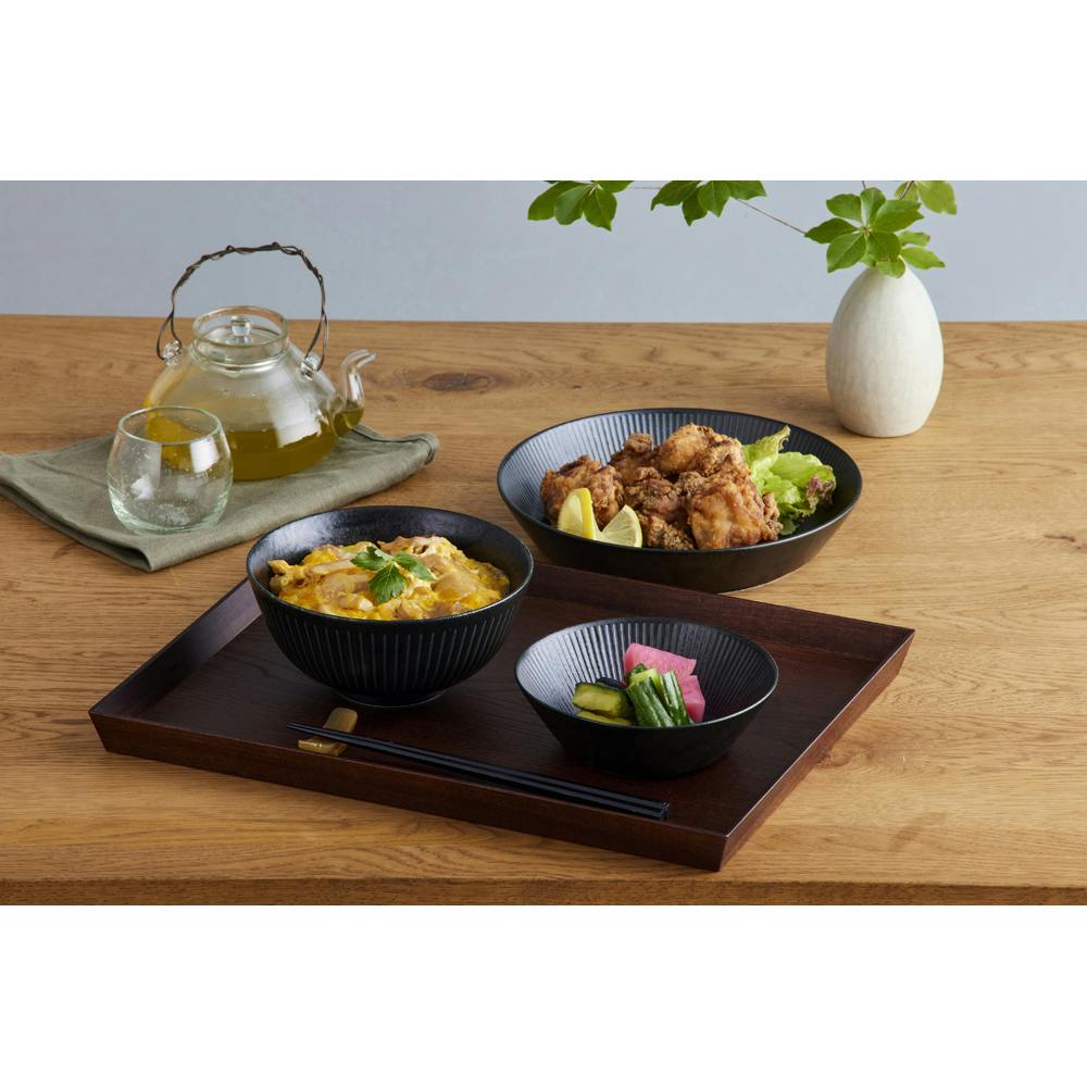 アイリスオーヤマ 食器 5点セット MNW-5S ブラック 食器 家族 キッチン