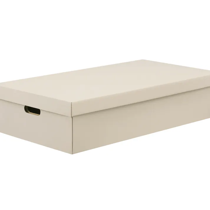 アイリスオーヤマ 段ボール収納ケース2枚セット DB-700 ホワイト ゴミ 収納 ケース 4967576694087【別送品】