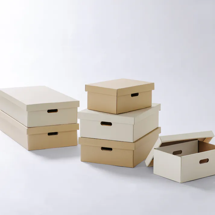 アイリスオーヤマ 段ボール収納ケース2枚セット DB-700 ホワイト ゴミ 収納 ケース 4967576694087【別送品】